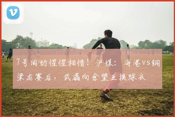 7号间的惺惺相惜！沪媒：海港vs铜梁龙赛后，武磊向余望互换球衣